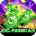 responsible gambling pakistan Apps (Tools & Injectors) Plus v2.6.1