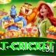 risk free bet cricket