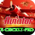 sports cricket - Live Pro