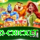 t20 cricket Premium Plus v2.5.0