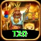 t20 Master v4.9.3