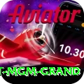 the signature at mgm grand VIP Edition v3.9.3