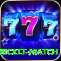to day cricket match Deluxe Pro v1.5.2