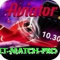 to day cricket match Gaming Prime v4.5.4