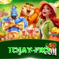 tojay Master v3.4.1
