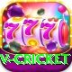 v cricket Elite v5.6.7