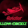 willow cricket Master Pro v4.7.2