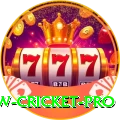 willow cricket Casino Elite v4.3.5