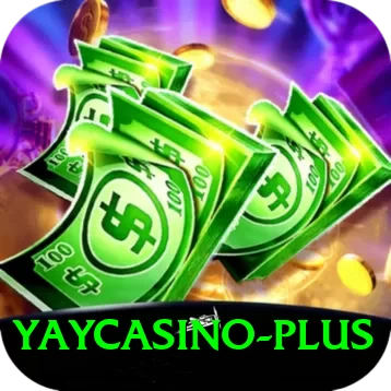 yaycasino Master v3.2.3 - 2